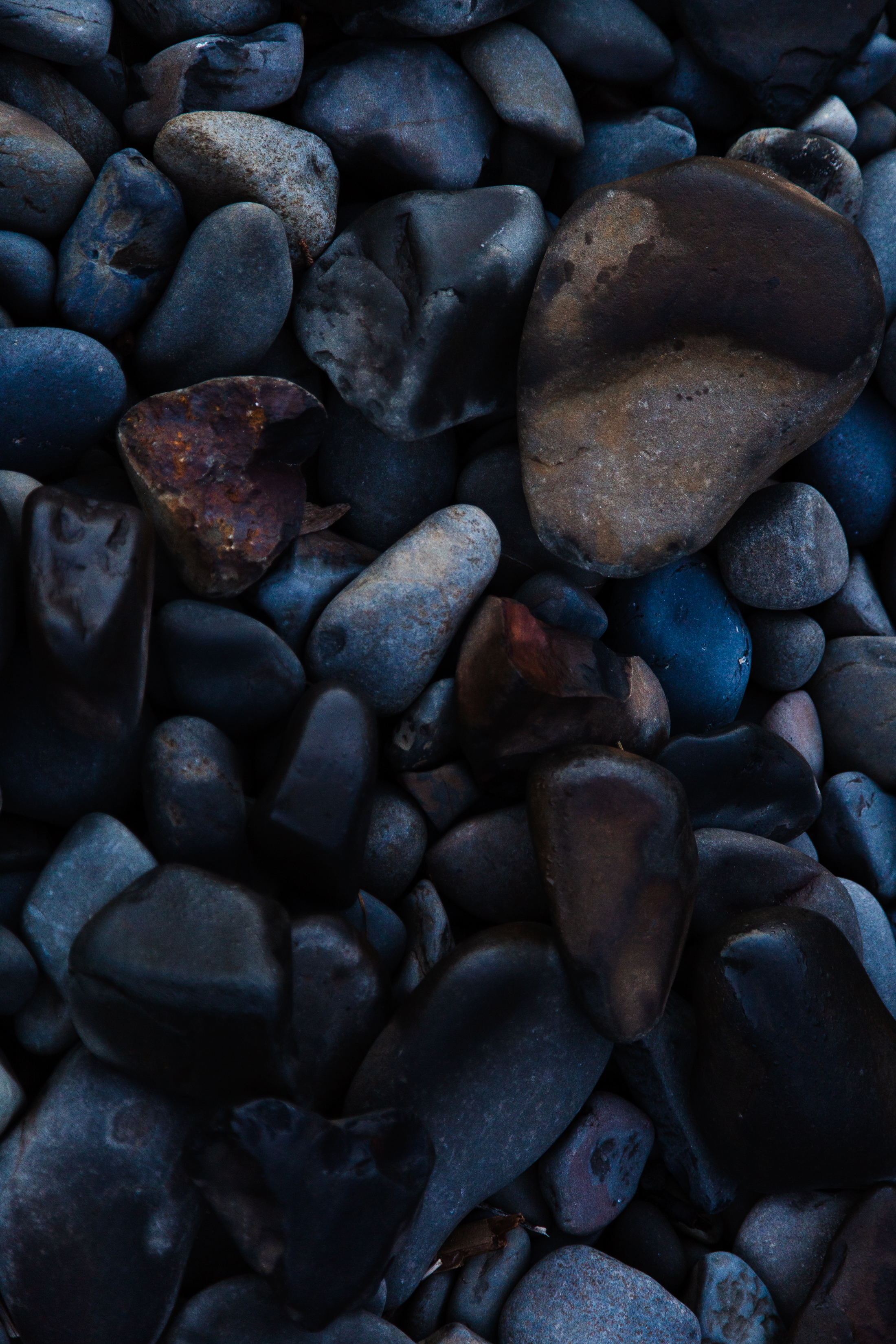 DANIEL DE JESUS KRUEGER